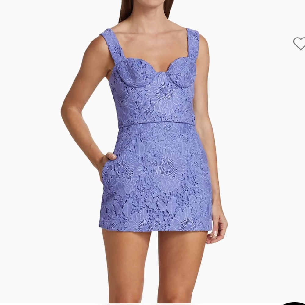 Aknvas Bruna Embroidered Lace Minidress Sz 2